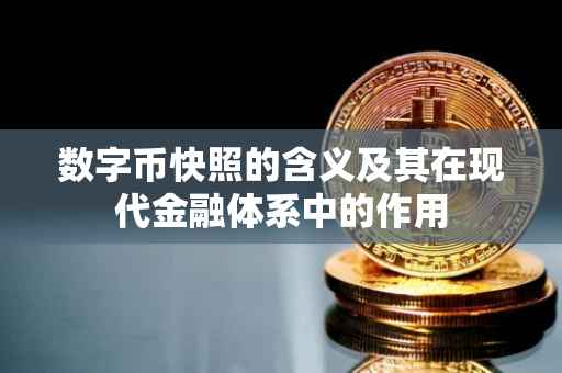 数字币快照的含义及其在现代金融体系中的作用