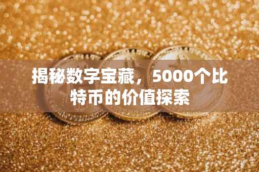 揭秘数字宝藏，5000个比特币的价值探索