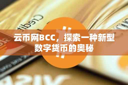 云币网BCC，探索一种新型数字货币的奥秘