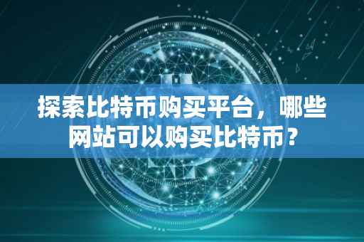 探索比特币购买平台，哪些网站可以购买比特币？