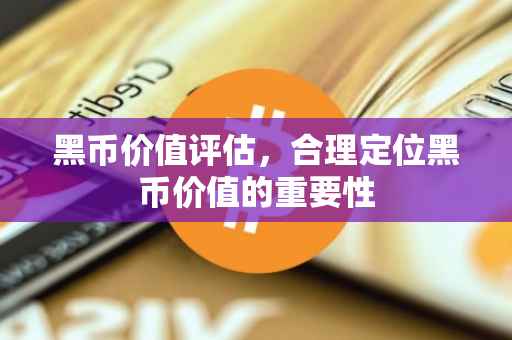 黑币价值评估，合理定位黑币价值的重要性