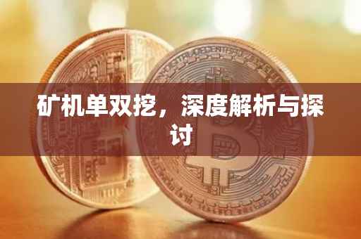 矿机单双挖，深度解析与探讨