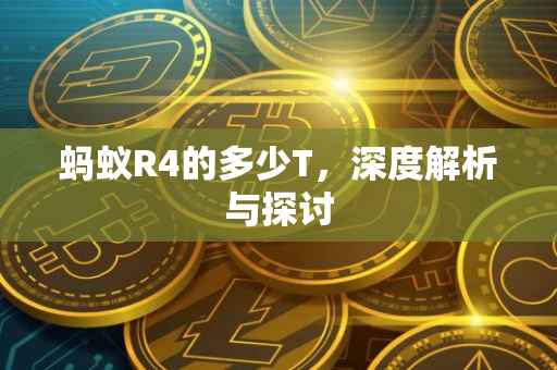 蚂蚁R4的多少T，深度解析与探讨
