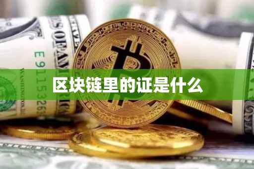 区块链里的证是什么