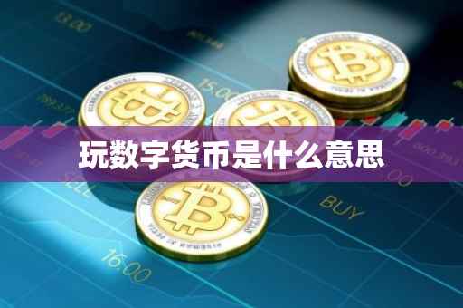玩数字货币是什么意思