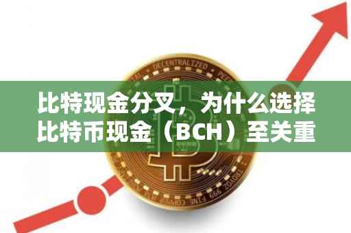比特现金分叉，为什么选择比特币现金（BCH）至关重要？