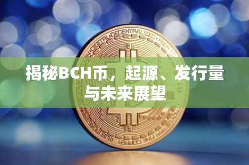 揭秘BCH币，起源、发行量与未来展望
