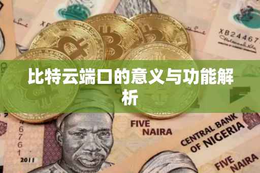 比特云端口的意义与功能解析