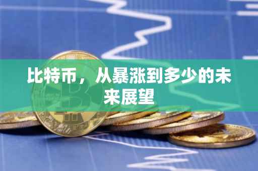 比特币，从暴涨到多少的未来展望