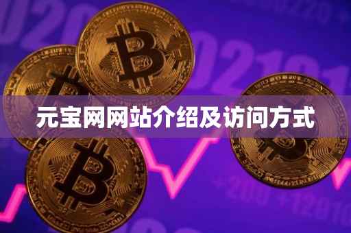 元宝网网站介绍及访问方式