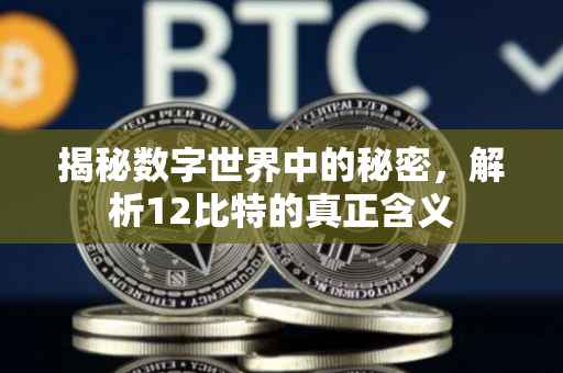 揭秘数字世界中的秘密，解析12比特的真正含义