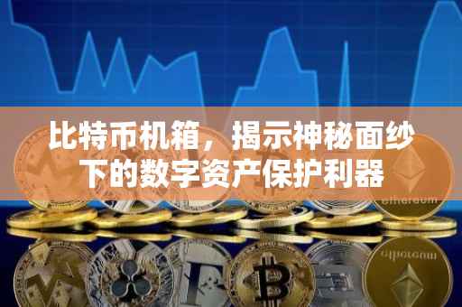比特币机箱，揭示神秘面纱下的数字资产保护利器