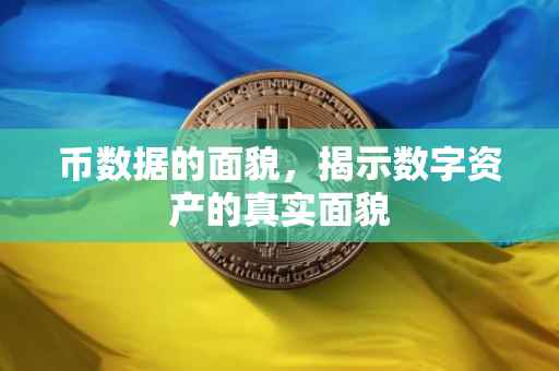 币数据的面貌，揭示数字资产的真实面貌
