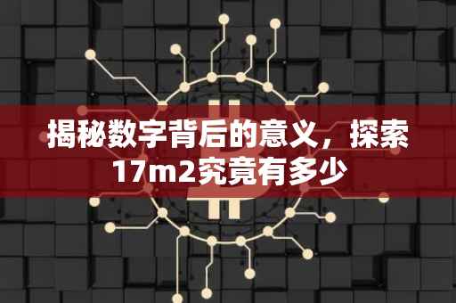 揭秘数字背后的意义，探索17m2究竟有多少