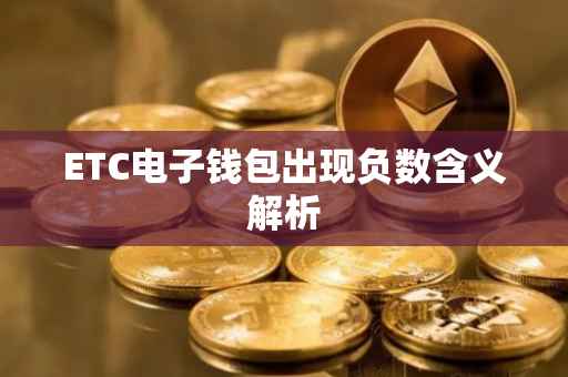 ETC电子钱包出现负数含义解析
