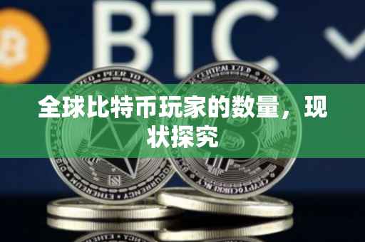 全球比特币玩家的数量，现状探究