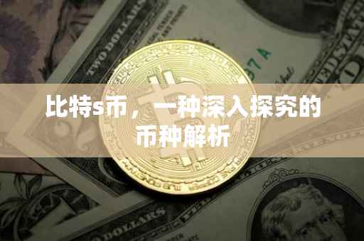 比特s币，一种深入探究的币种解析