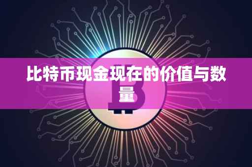 比特币现金现在的价值与数量