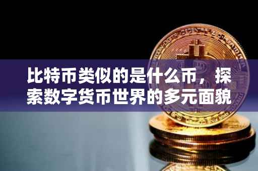 比特币类似的是什么币，探索数字货币世界的多元面貌