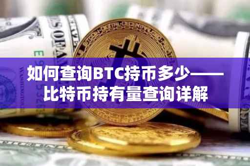 如何查询BTC持币多少——比特币持有量查询详解