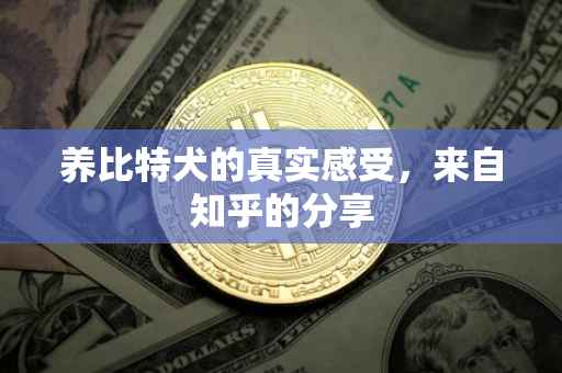 养比特犬的真实感受，来自知乎的分享