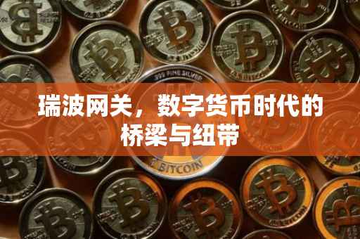 瑞波网关，数字货币时代的桥梁与纽带
