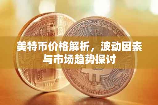 美特币价格解析，波动因素与市场趋势探讨