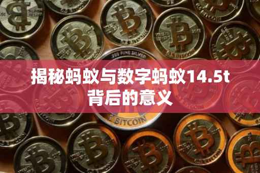 揭秘蚂蚁与数字蚂蚁14.5t背后的意义