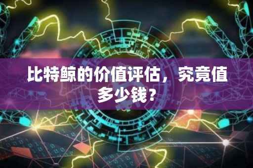 比特鲸的价值评估，究竟值多少钱？