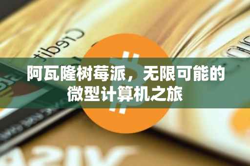 阿瓦隆树莓派，无限可能的微型计算机之旅