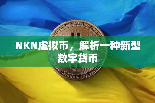NKN虚拟币，解析一种新型数字货币