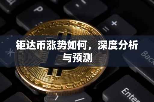 钜达币涨势如何，深度分析与预测