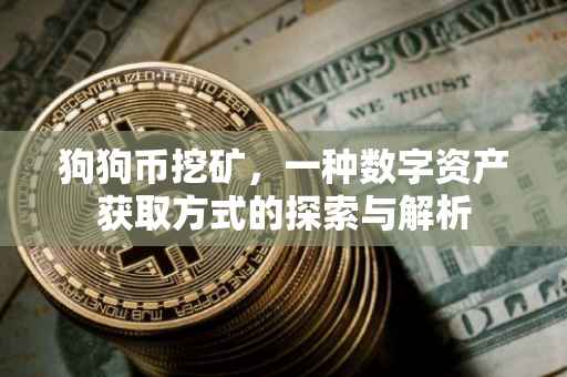 狗狗币挖矿，一种数字资产获取方式的探索与解析