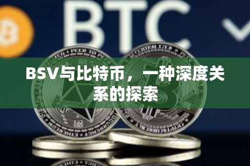 BSV与比特币，一种深度关系的探索