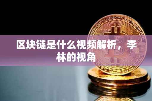 区块链是什么视频解析，李林的视角