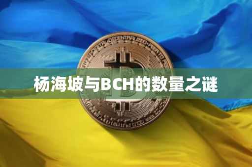 杨海坡与BCH的数量之谜