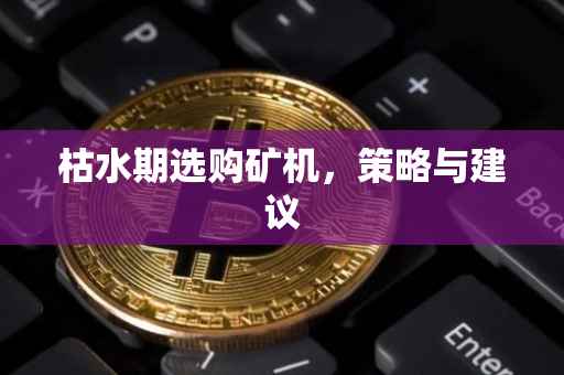 枯水期选购矿机，策略与建议