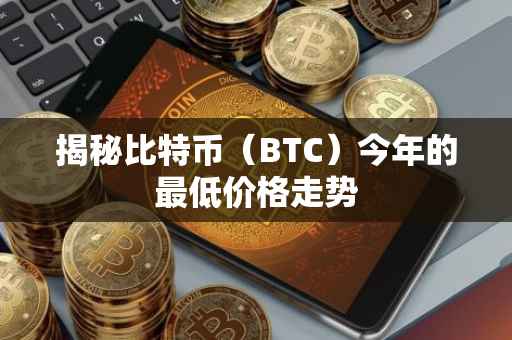 揭秘比特币（BTC）今年的最低价格走势