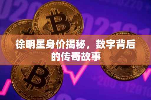 徐明星身价揭秘，数字背后的传奇故事
