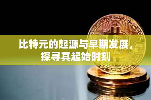 比特元的起源与早期发展，探寻其起始时刻