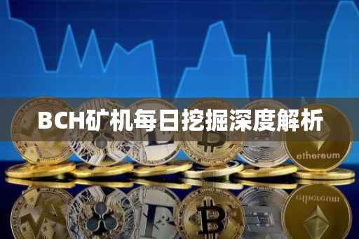 BCH矿机每日挖掘深度解析