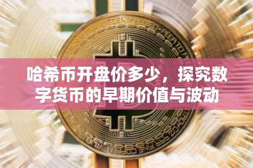 哈希币开盘价多少,探究数字货币的早期价值与波动