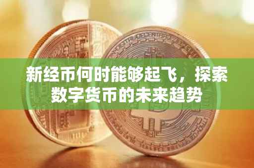 新经币何时能够起飞，探索数字货币的未来趋势