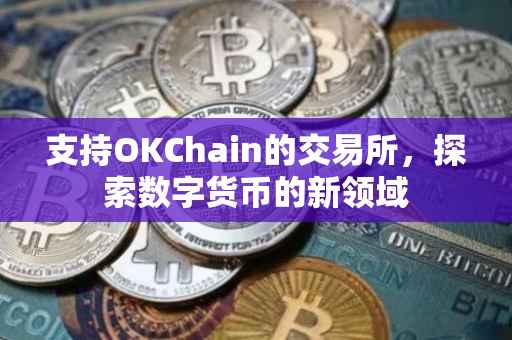 支持OKChain的交易所，探索数字货币的新领域