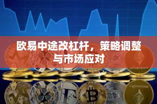 欧易中途改杠杆，策略调整与市场应对