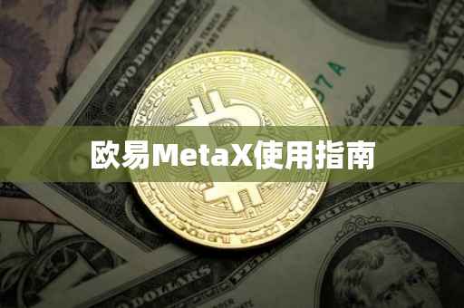 欧易MetaX使用指南