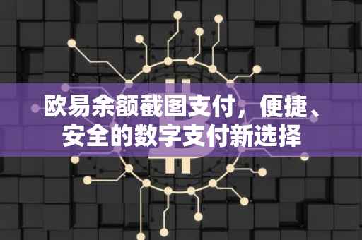 欧易余额截图支付，便捷、安全的数字支付新选择