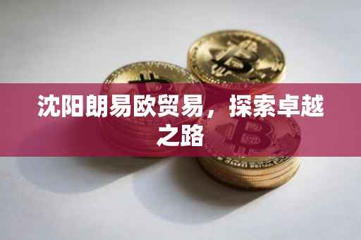 沈阳朗易欧贸易，探索卓越之路