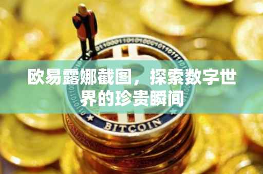 欧易露娜截图，探索数字世界的珍贵瞬间