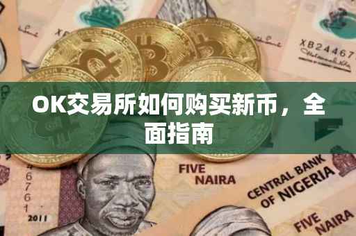 OK交易所如何购买新币，全面指南